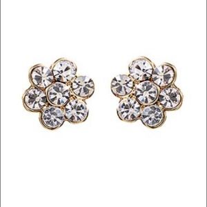 NWT, Amrita Singh Australian Crystal & Gold Tone Katrina Stud Earrings